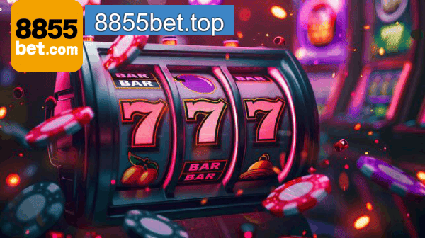 Níveis VIP 8855BET